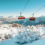 Steinbock, St Martin Am Tennengebirge *