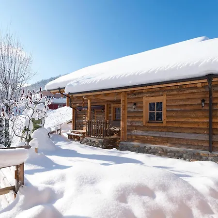 Steinbock, St Martin Am Tennengebirge Domek alpejski