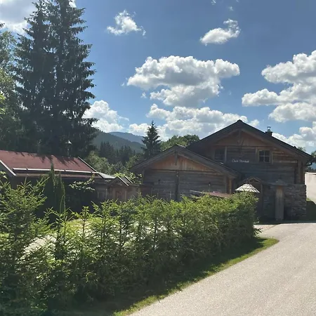 Steinbock, St Martin Am Tennengebirge *
